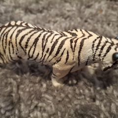 Schleich White Tiger