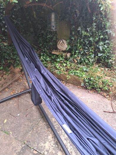 Hammock