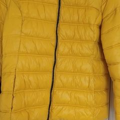 Yellow Coat