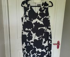 Phase Eight Dress