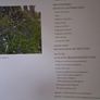 Mayo's Hedgerows / 2012 Image 4