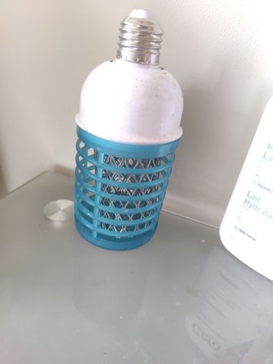 insect killer bulb
