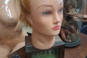 Hair Dressing Training Head