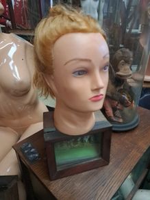 Hair Dressing Training Head