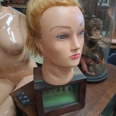 Hair Dressing Training Head