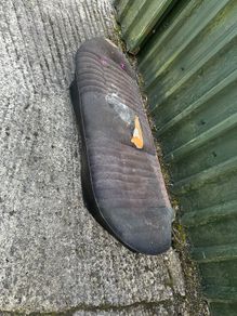 Ford Escort mk2 Rear Seat