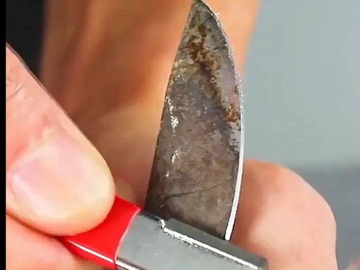 Professional Knife Sharpener. X 1. Free Post