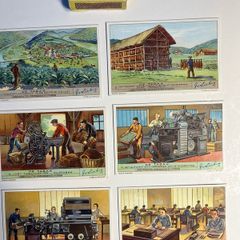set of 6 Tobacco Cards (1939)