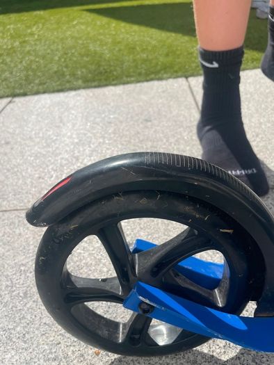 Micro Scooter Cruiser Blue