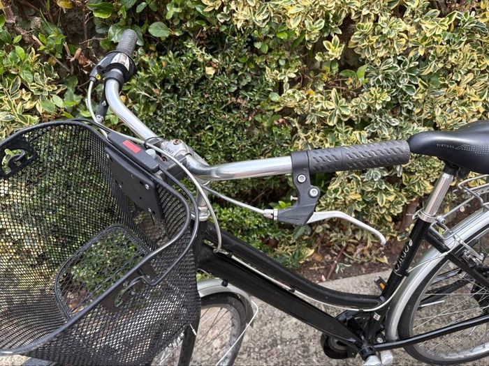 Ladies Bicycle