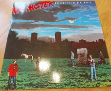 Mr Mister - Welcome To The Real World - Vinyl Record