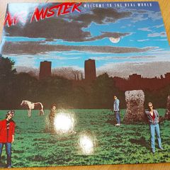 Mr Mister - Welcome To The Real World - Vinyl Record
