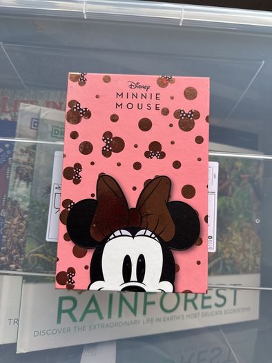 Minnie Mouse Makeup