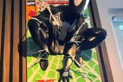 3D Printed Venom-Spider Man Wall Mounted Figure