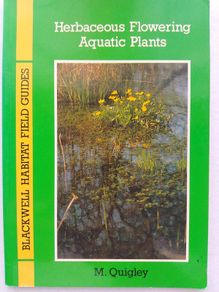 Herbaceous Flowering Aquatic Plants