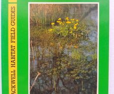 Herbaceous Flowering Aquatic Plants