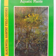Herbaceous Flowering Aquatic Plants