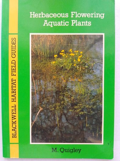Herbaceous Flowering Aquatic Plants