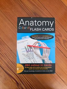 Netters anatpmy colour in flash cards