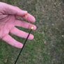 browning pole 11m  elastic 20 Image 5