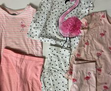 Flamingo theme girls shorts and T-shirts 3 sets