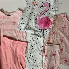 Flamingo theme girls shorts and T-shirts 3 sets