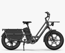 FIIDO T2 Longtail Cargo Electric Bike