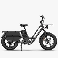 FIIDO T2 Longtail Cargo Electric Bike