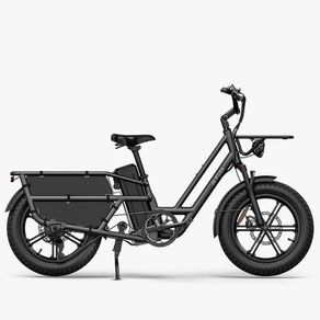 FIIDO T2 Longtail Cargo Electric Bike
