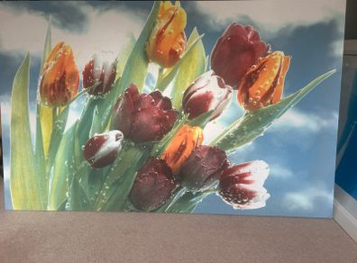 Canvas print