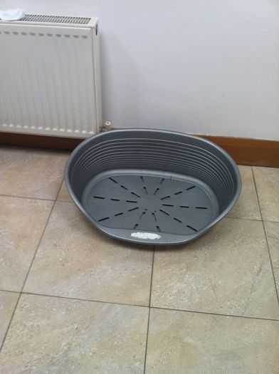 Dog Bed