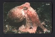2000 Isle of Man 21 unit / GB2 Curled Octopus (Siemens - S37) Phone Card