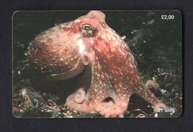 2000 Isle of Man 21 unit / GB2 Curled Octopus (Siemens - S37) Phone Card
