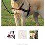 dog Harness Lead 'N' Walk Soft trixie size M-L BNIB Image 3