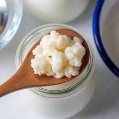 Milk kefir grains