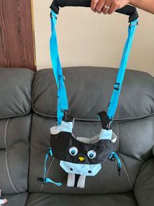 Walking Harness
