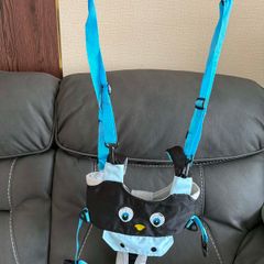 Walking Harness