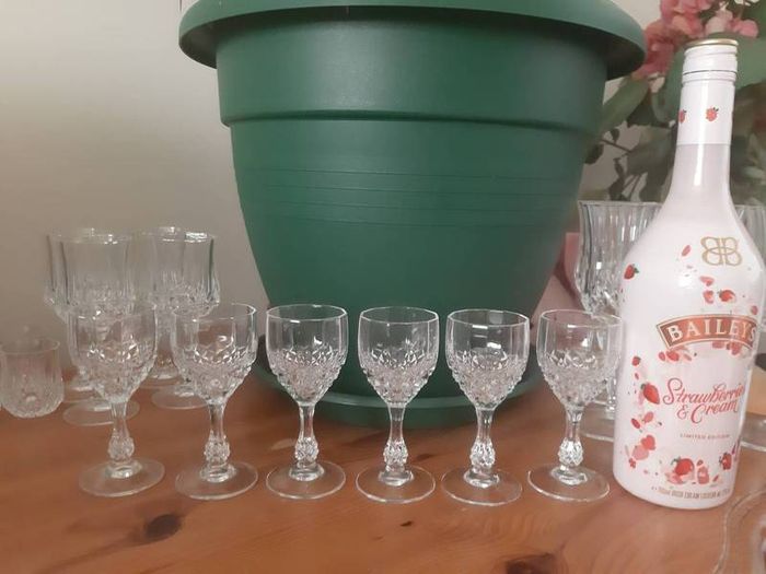 Cristal D'Arques glasses