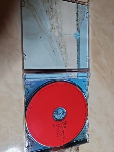 Echo & The Bunnymen CD  - What Are You Going To Do With Your Life?