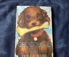 Children's Book