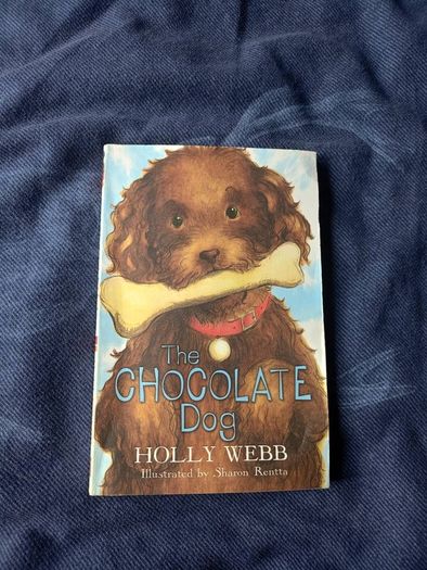 Children's Book