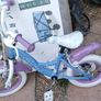 Frozen bike Image 4