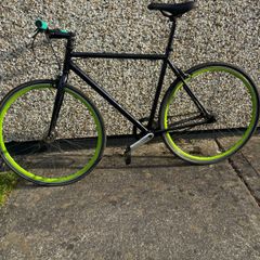 Adults bike single speed
