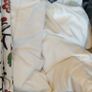 8 Feather Cushions & Cotton Washable Zipped Covers Image 4