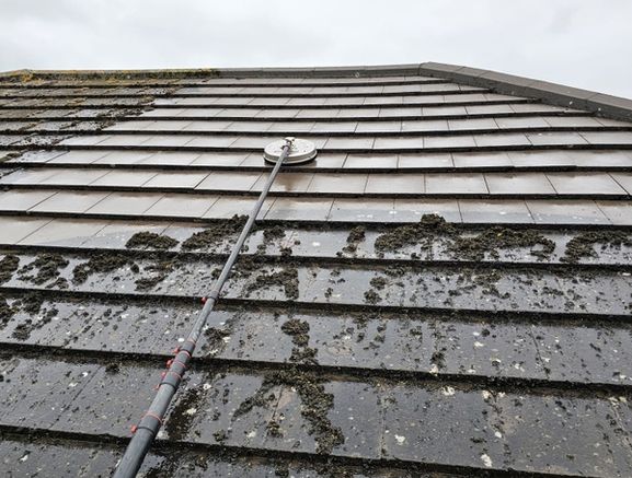 cleaning home inside/outside