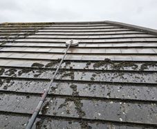 cleaning home inside/outside