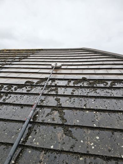 cleaning home inside/outside