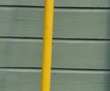 Kayak Paddle