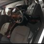 151 White Ford Focus Image 2