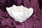 Coalport Countryware shell shaped dish small